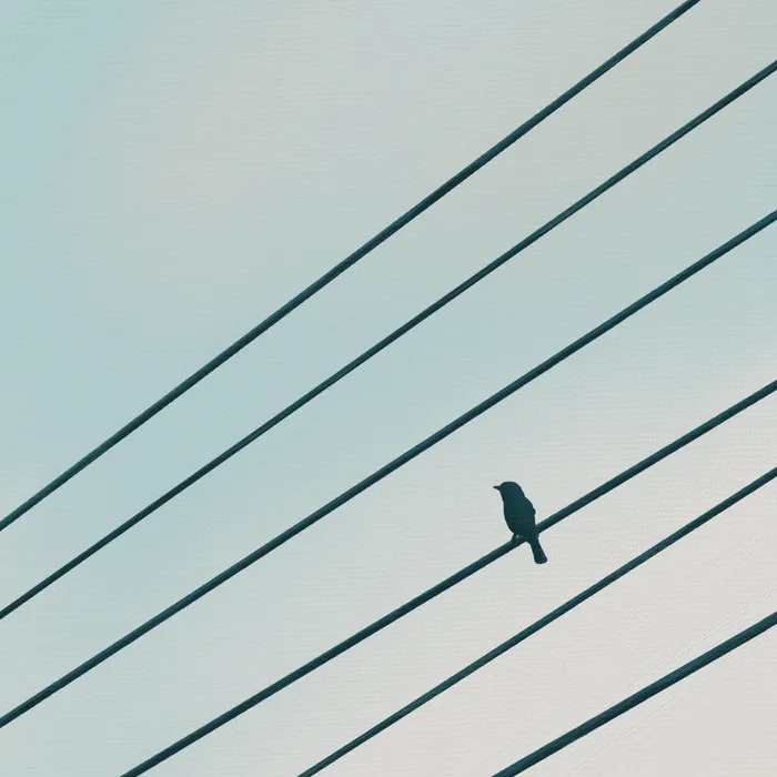Détail de la peinture d'un oiseau posé sur un fil électrique