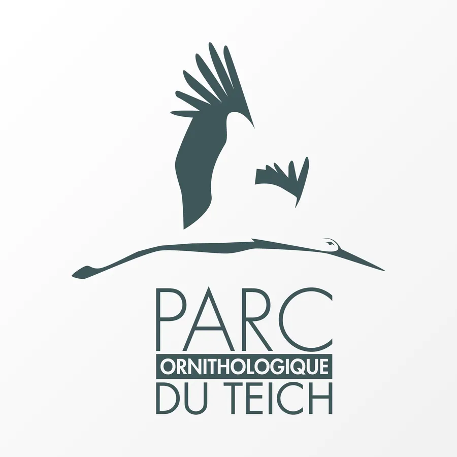 Logo du parc ornithologique du Teich sur fond clair